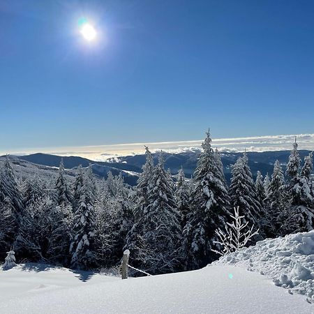 Albergo Rifugio La Grande Baita Cutigliano Zewnętrze zdjęcie